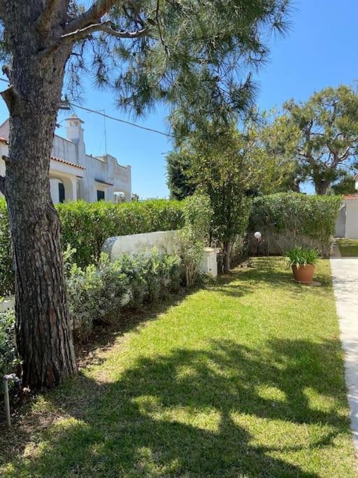 Villa A Marina Di Ostuni Eksteriør bilde